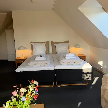 Ξενοδοχείο Skjoldbjerg Garnihotel Vorbasse